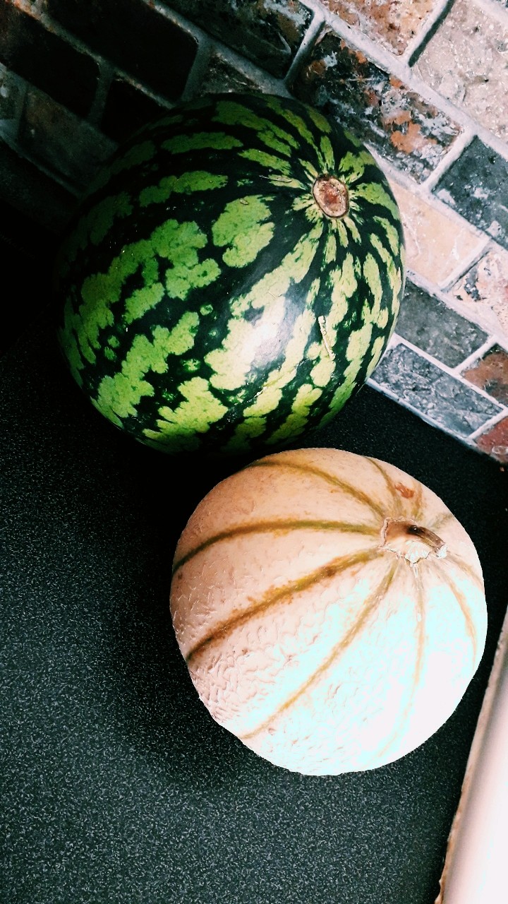 pastèque melon