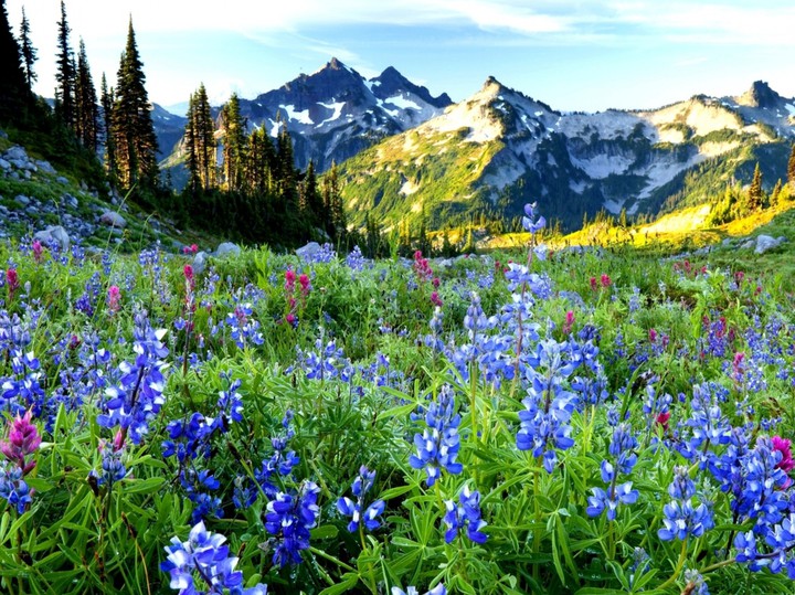 mountain