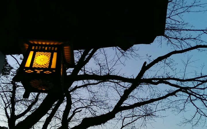 Twilight,Twilight