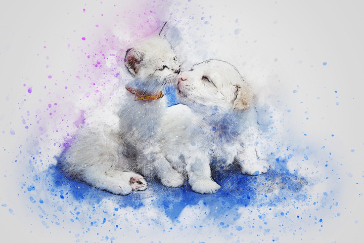Tenderness ❤