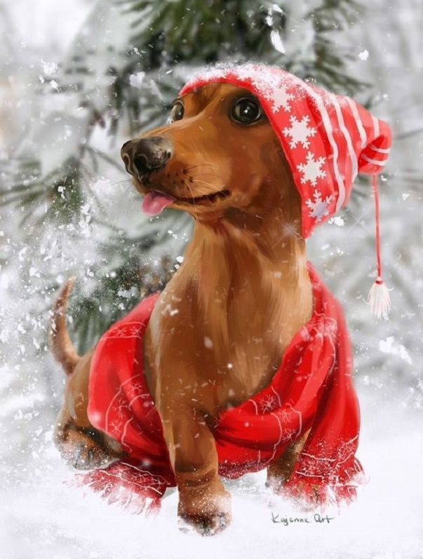 Собачка.....☃️⛄?