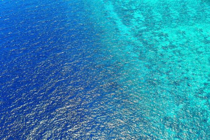 Sea