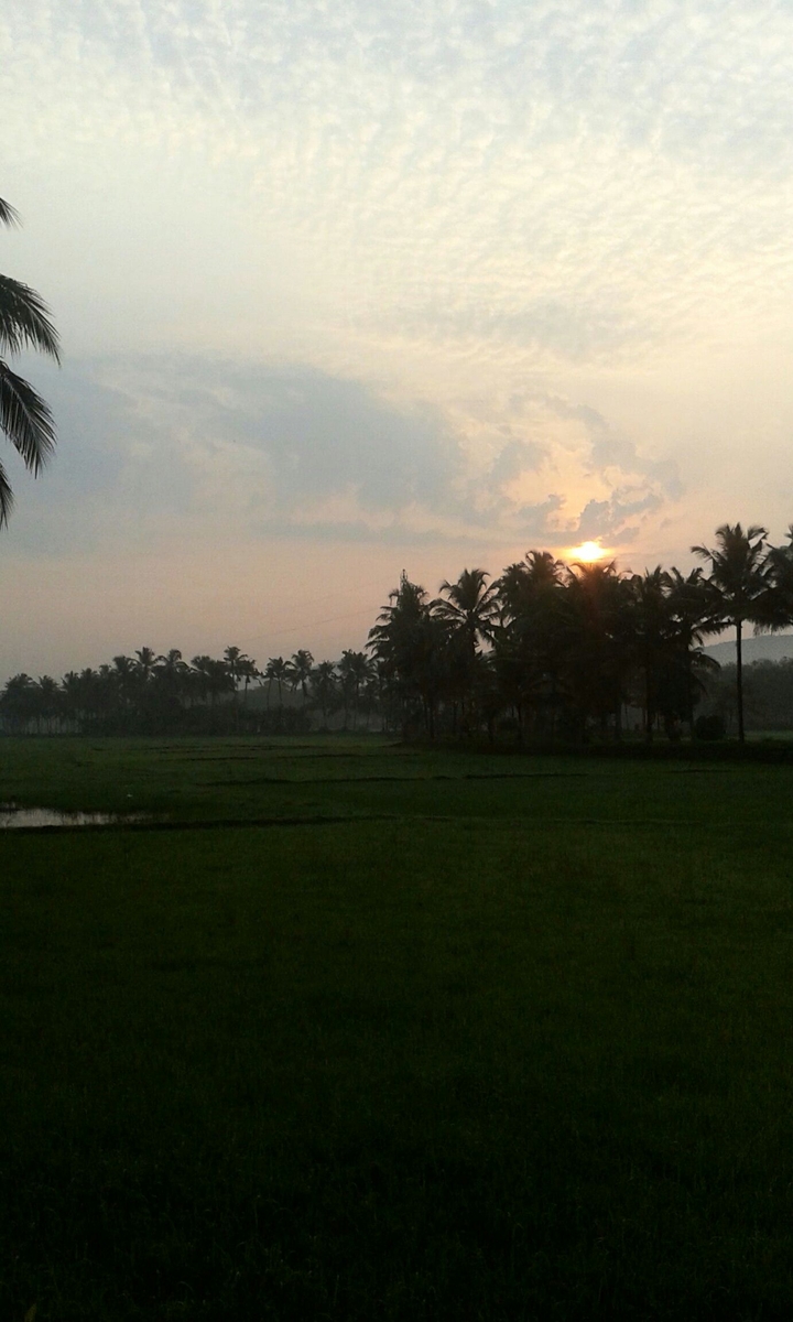 Morning Sunrise 