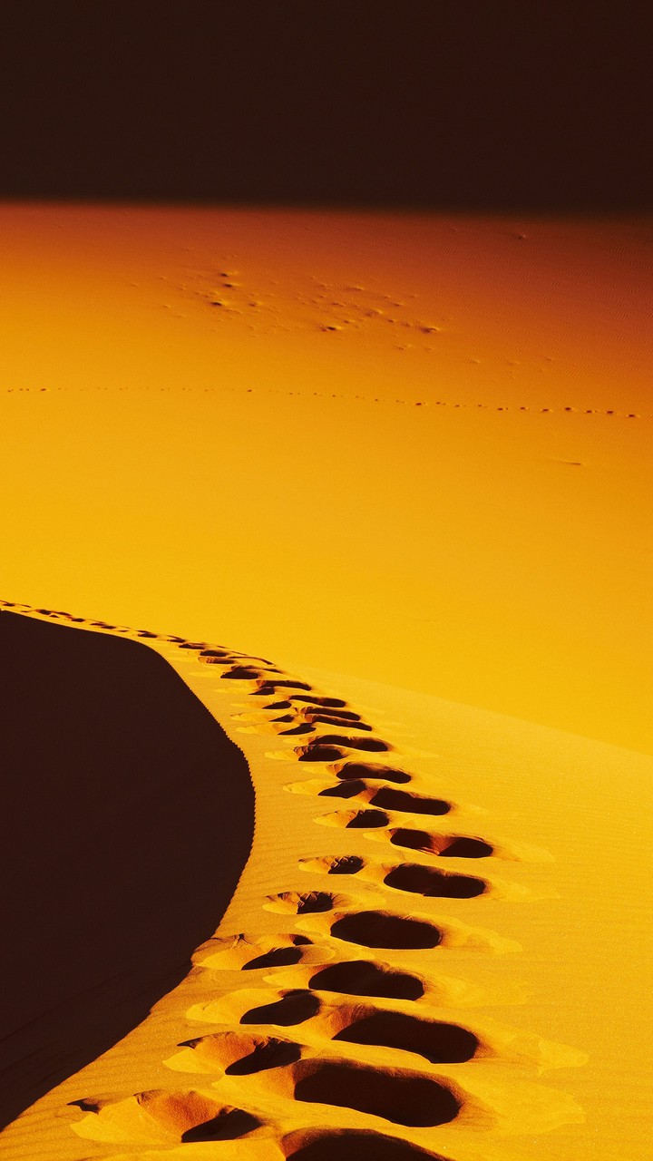 desert