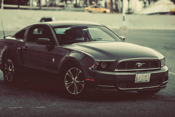 mustang