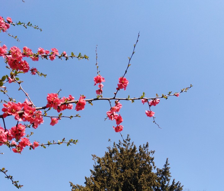 spring in croatia
