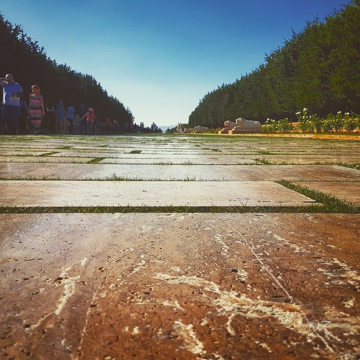 from the ground