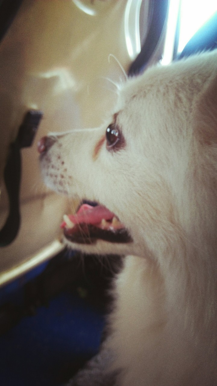 Missy