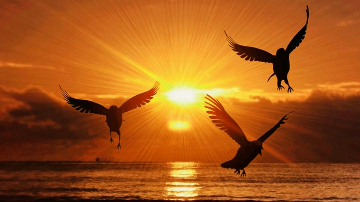 Sunset