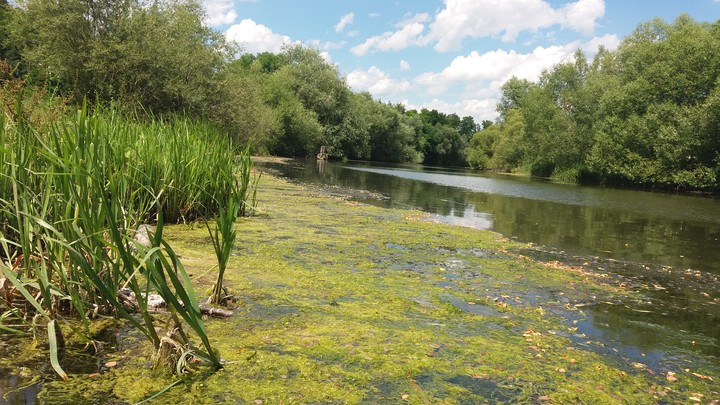 small river