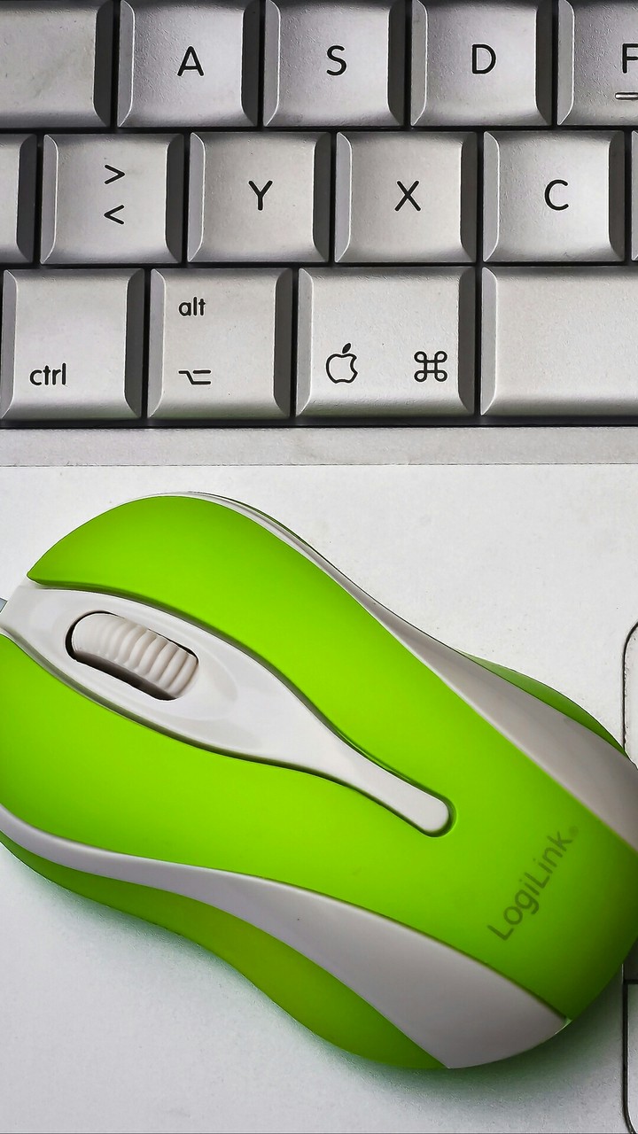 Mouse