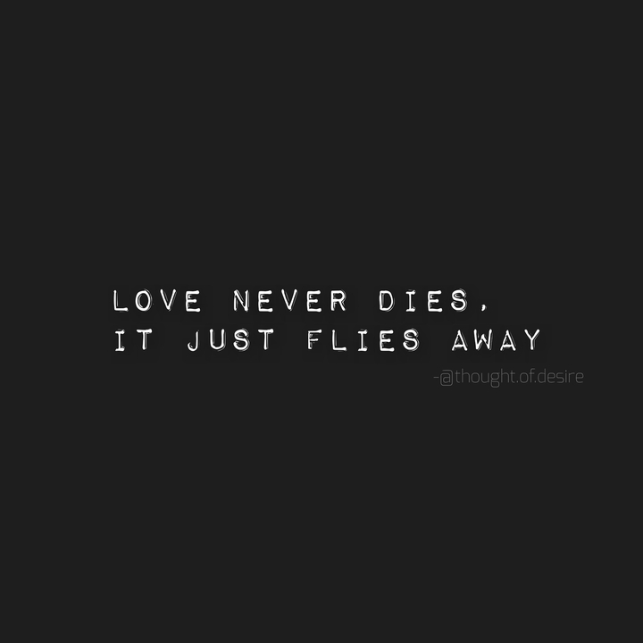 Love Finds A Way