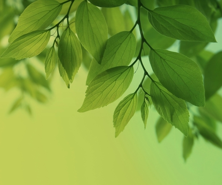 Green is nature, nature is green