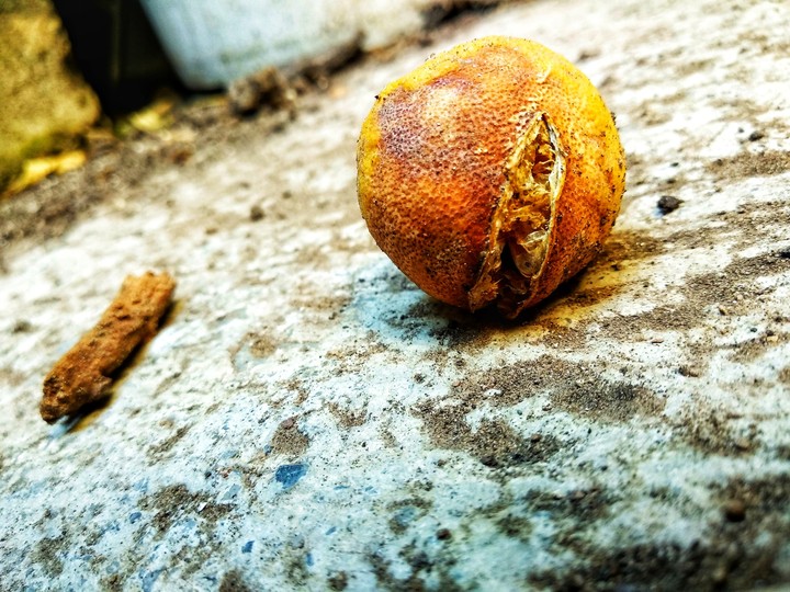lemon