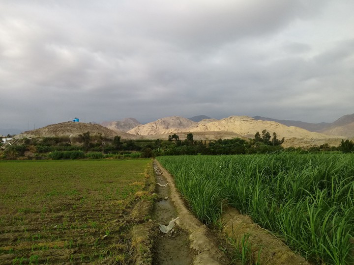 Paisaje Fuera