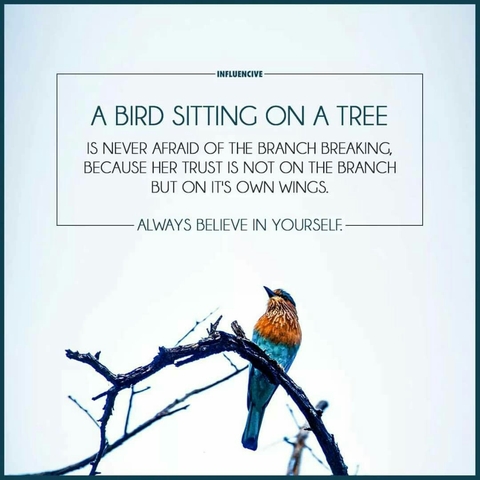 Quote