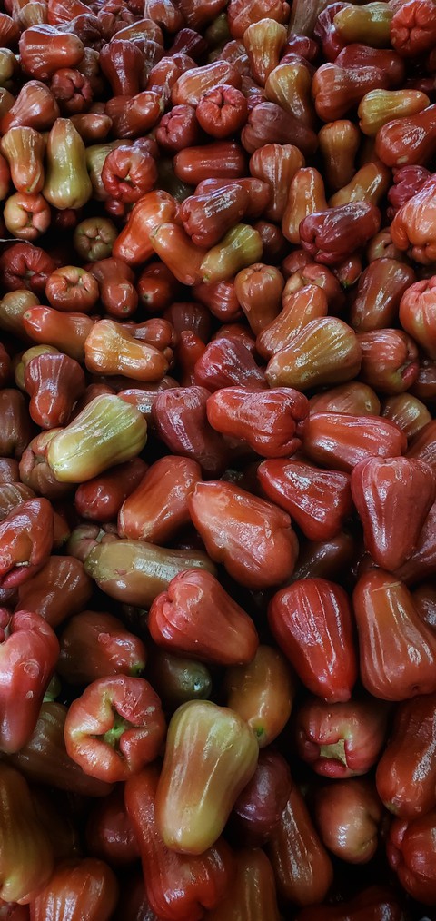 JAMBU