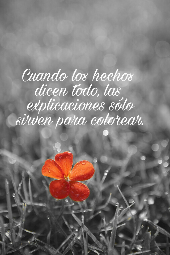 frases