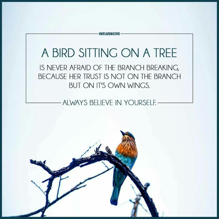 Quote