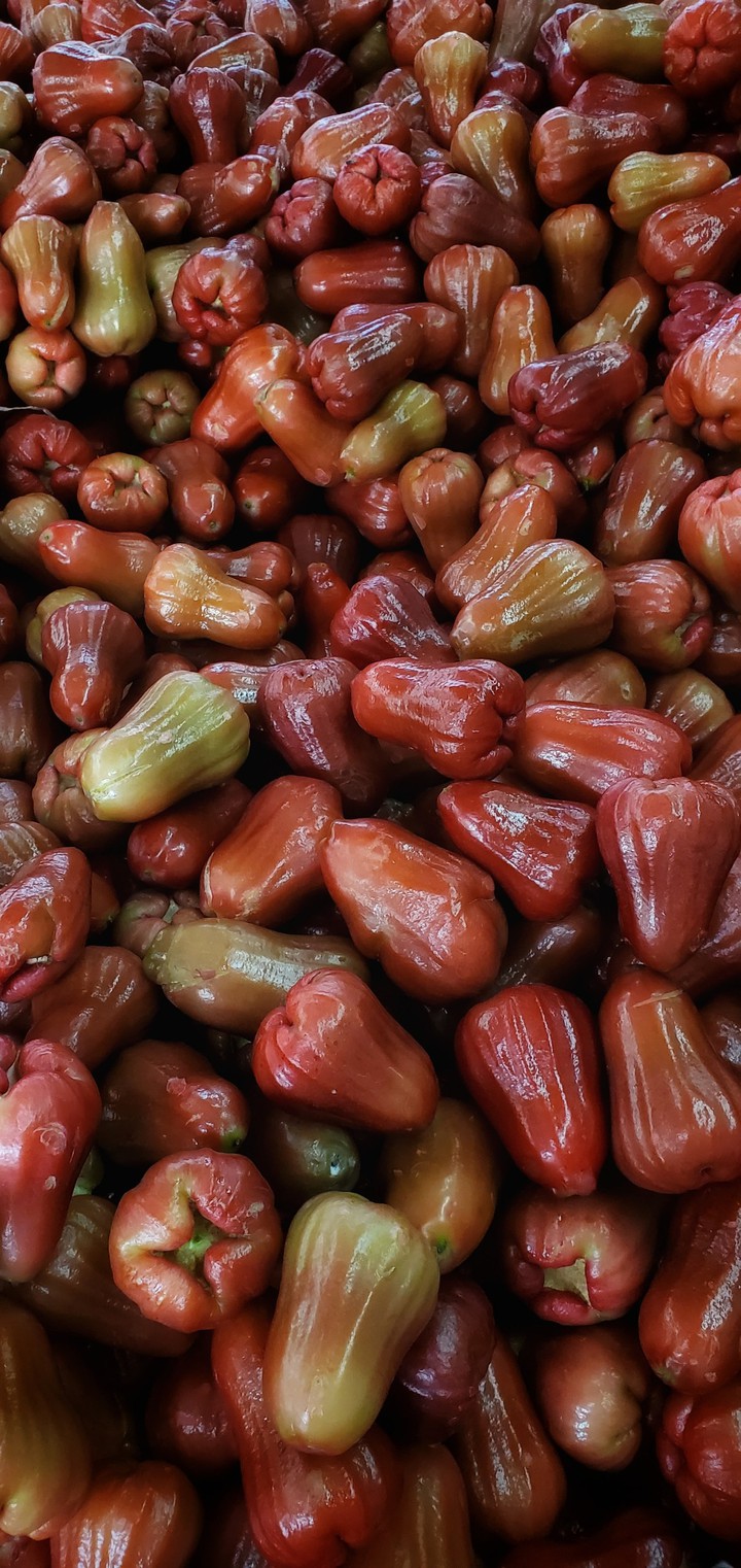 JAMBU