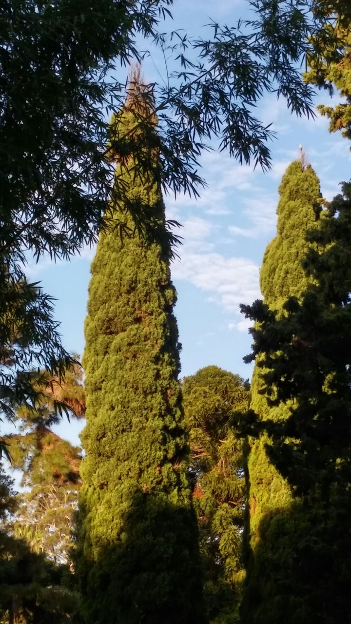 El Prado de Montevideo