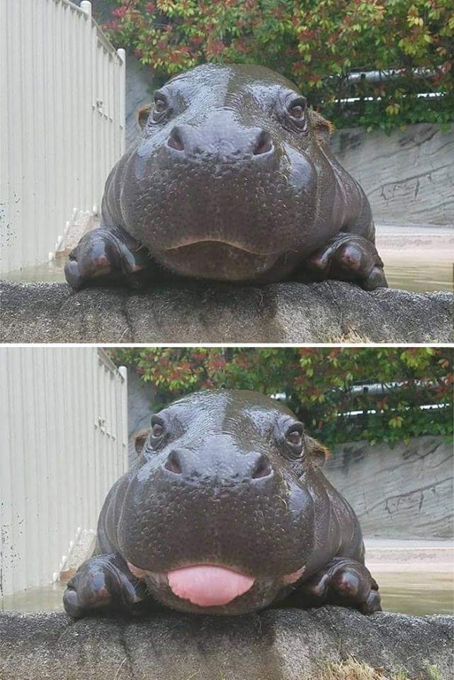 tolles Bild