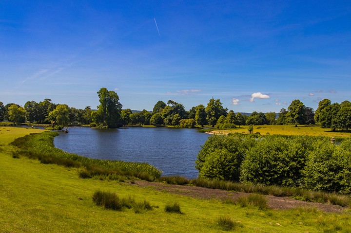 lago