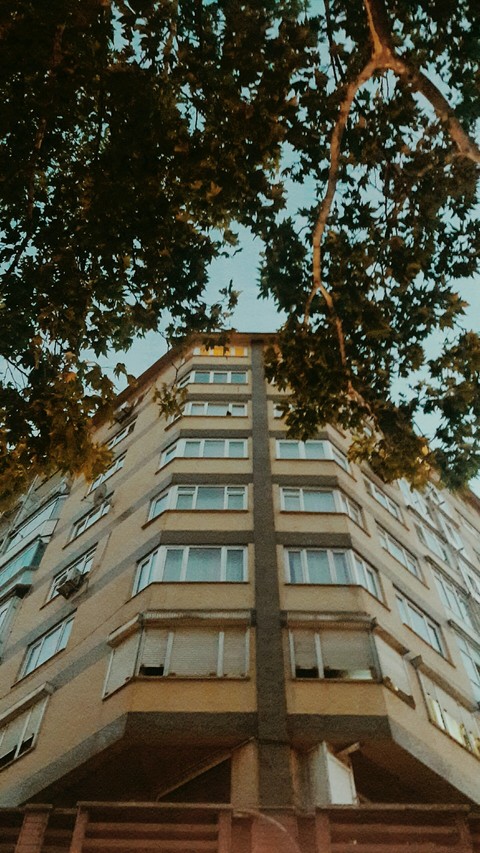 Şehir