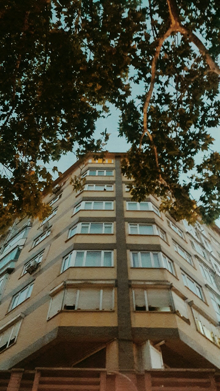 Şehir