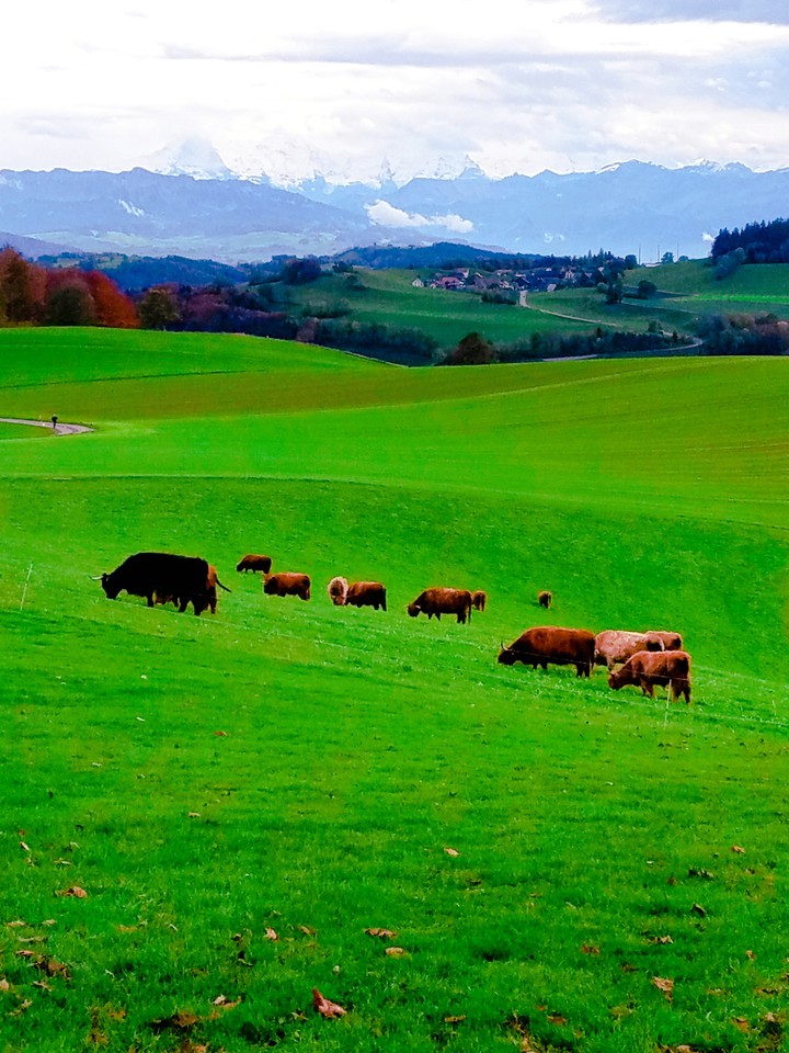 Switzerland