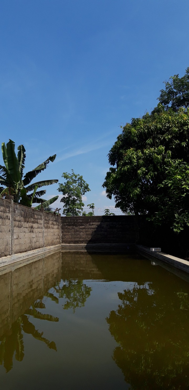 Kolam Ikan