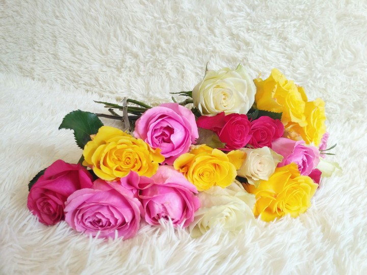 Happy Birth Day