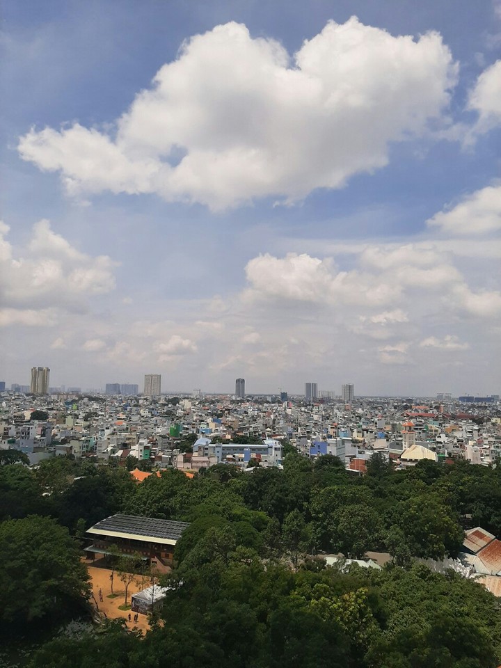 Giữa lòng thành phố Hồ Chí Minh