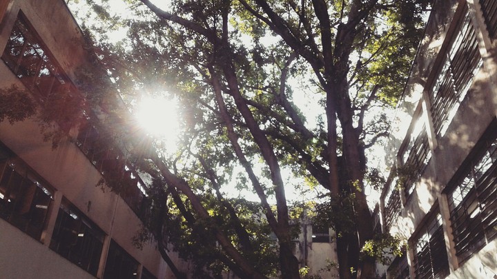natureza 