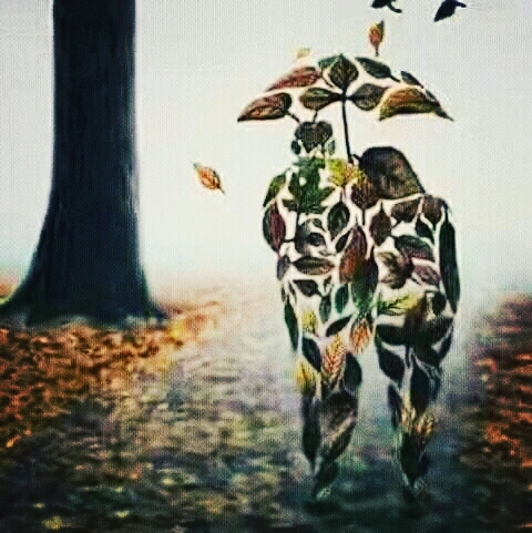 loveable leafs...