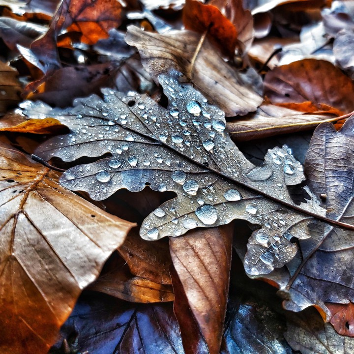 autumn list