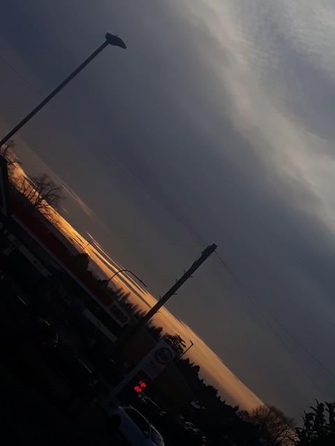 view