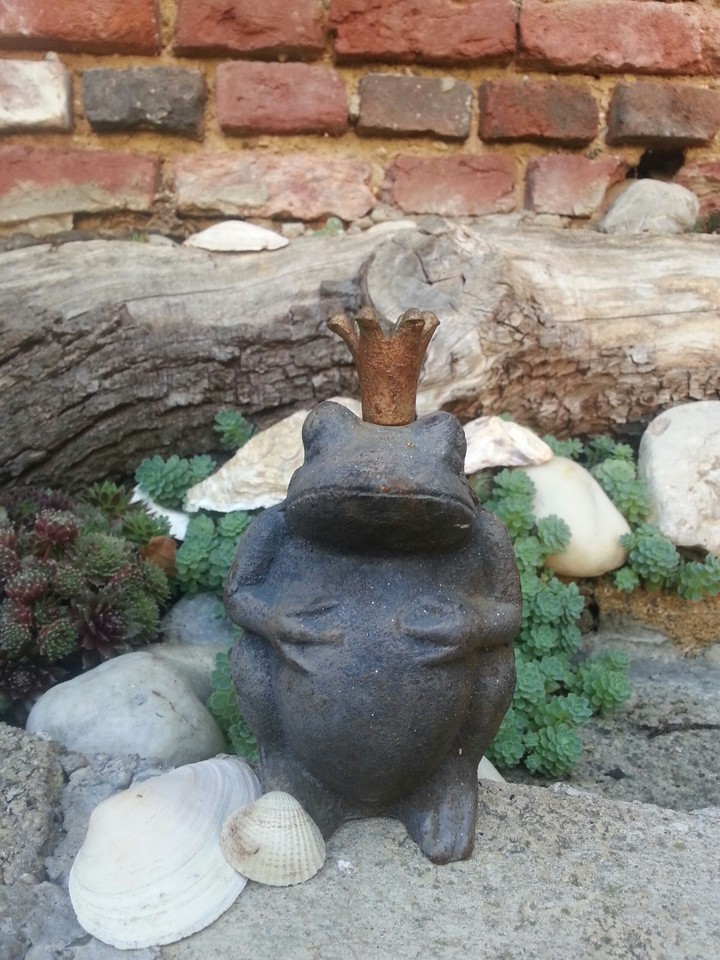 frog king