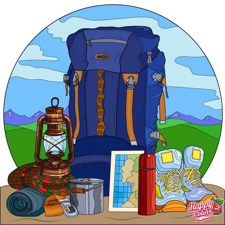 Viajar