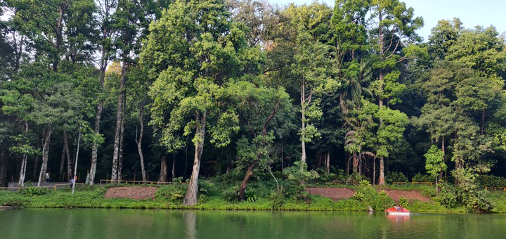 Nature