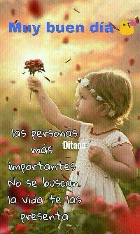 Cierto