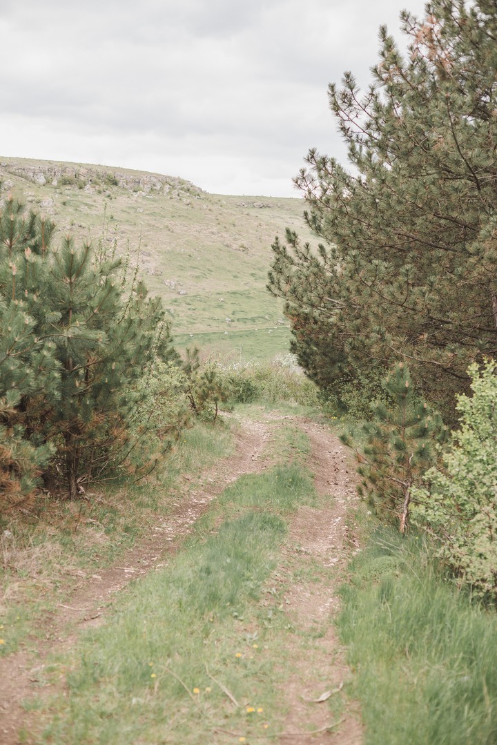Nature