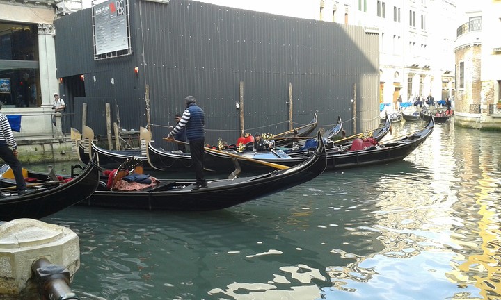 Venezia