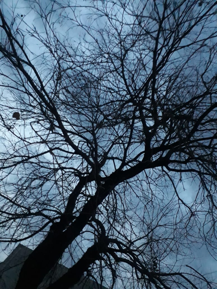 Cloudy