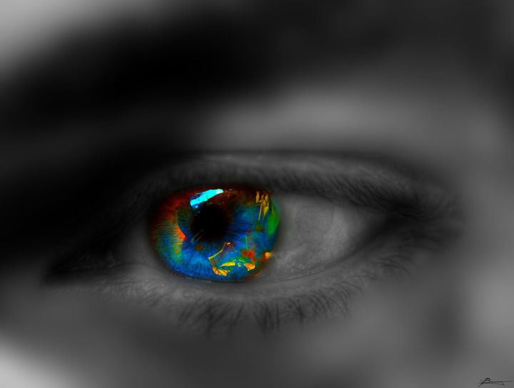 has the right to your website