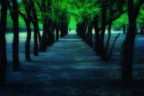 scenic beauty 2