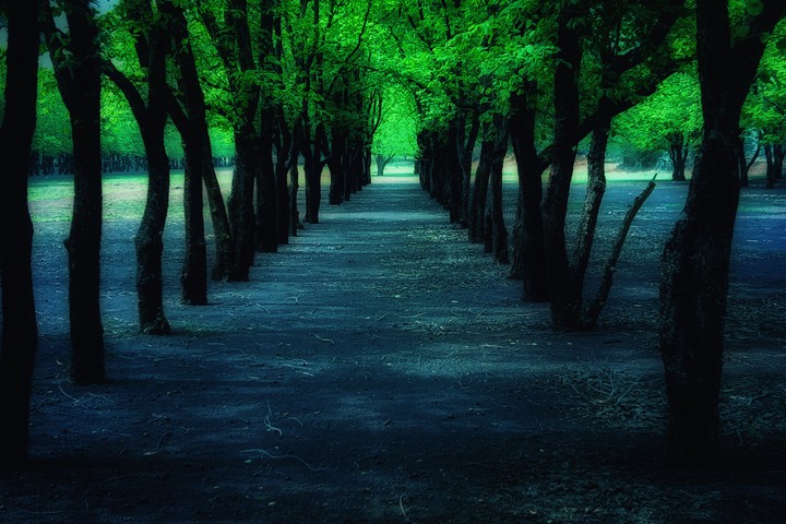 scenic beauty 2
