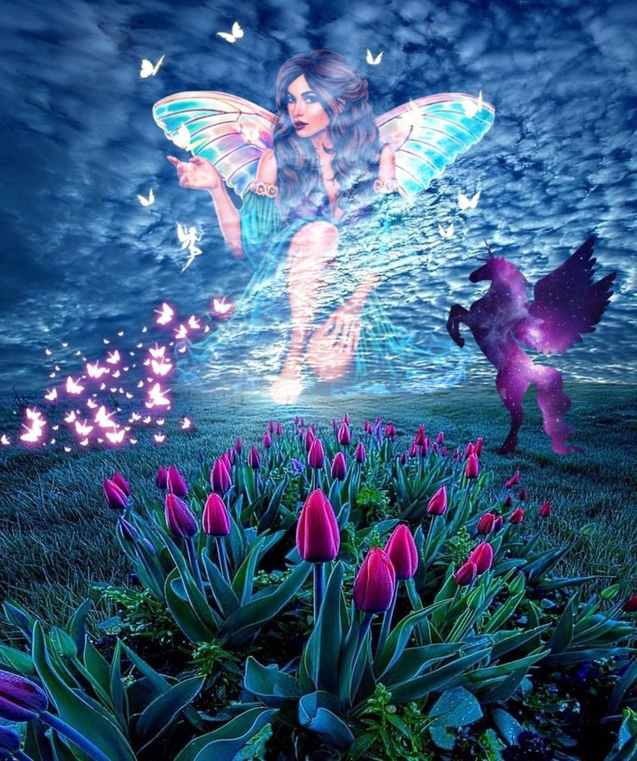 fairy