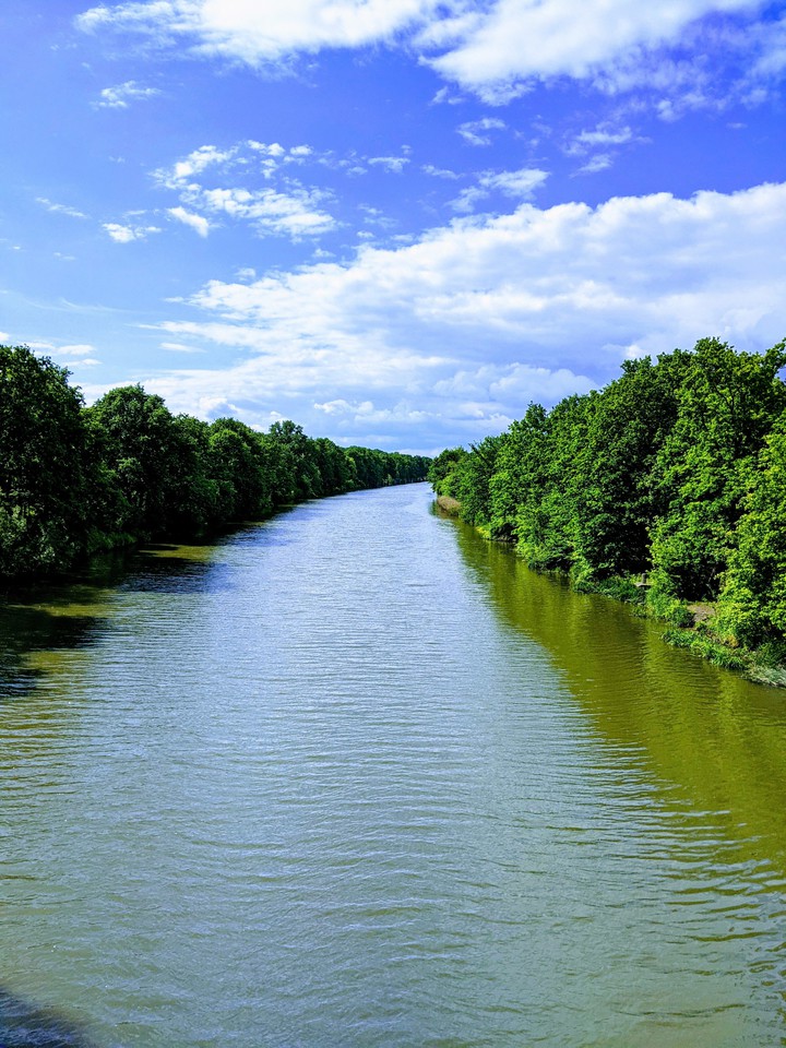 Odra river