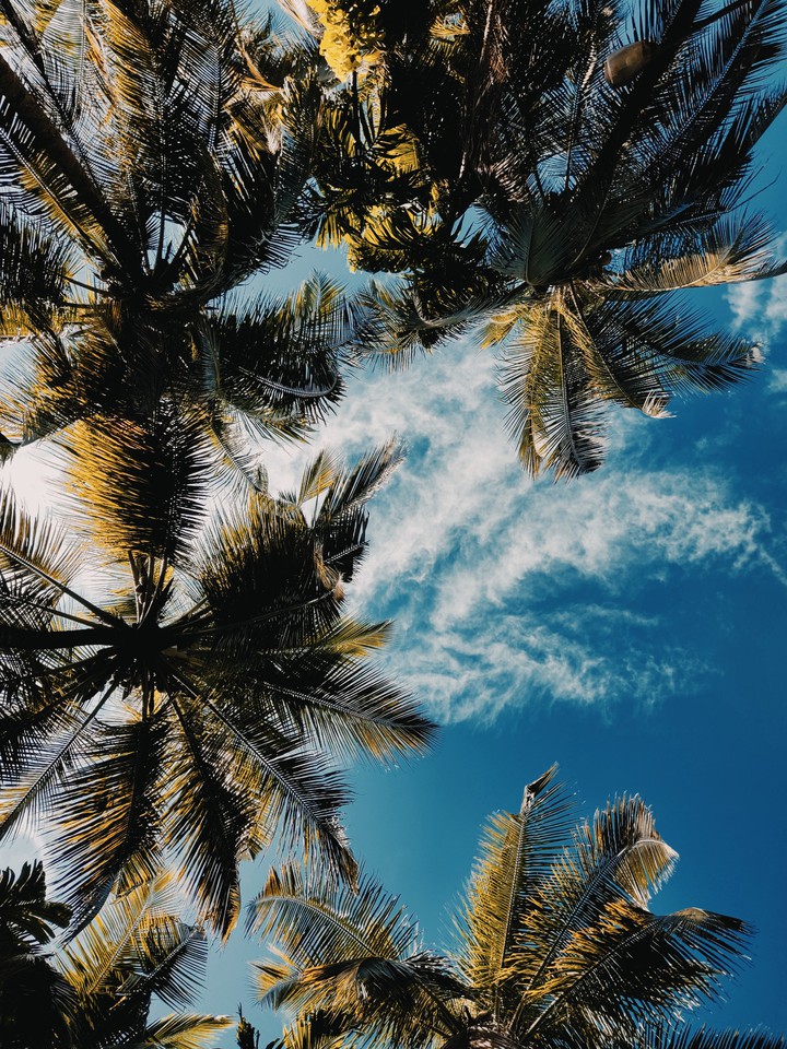 cloudy day